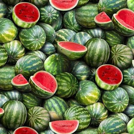 PSW Watermelon Seeds traditional garden variety for home planting