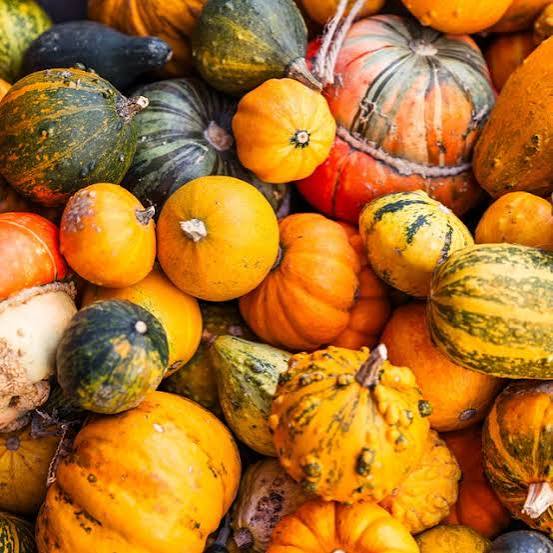 Pumpkin Seeds – Garden Vegetable Variety for Home Vegetable Growing
