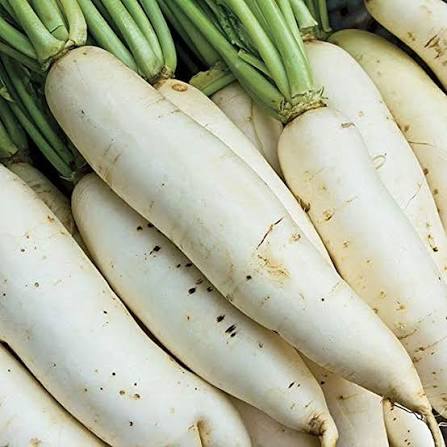 Radish Seeds – Smooth Palak Patta Garden Vegetable Variety