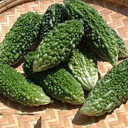Short Bitter Gourd Seeds – Traditional Garden Vegetable Variety