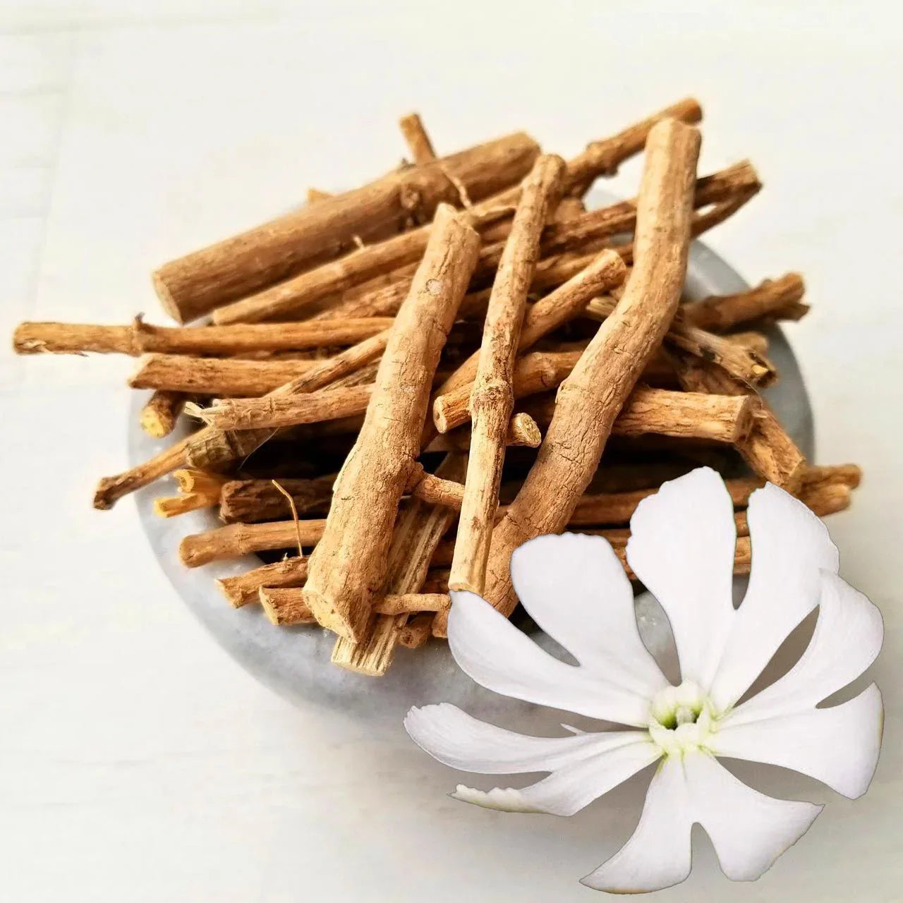 Silene Capensis Bulk Herb Seeds for Planting