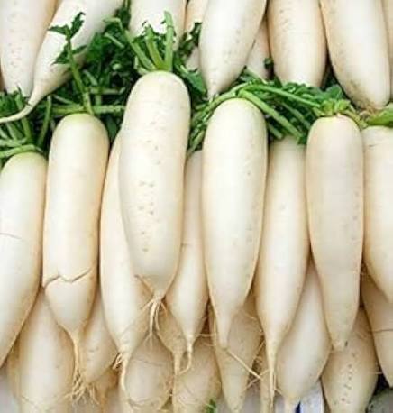 Radish Seeds – Smooth Palak Patta Garden Vegetable Variety