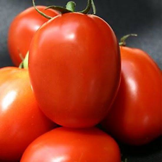 Square Round Tomato Seeds Summer variety for home garden planting