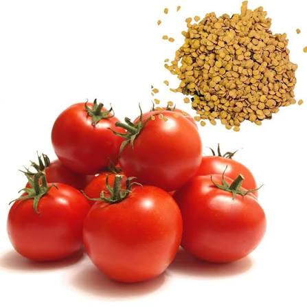 Square Round Tomato Seeds BW HH variety for home garden planting