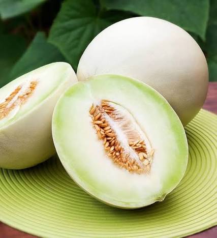 Netted Muskmelon Seeds – Sweet Garden Fruit Melon Variety
