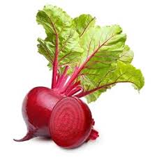 TEMP Beetroot Seeds root vegetable variety for home garden planting