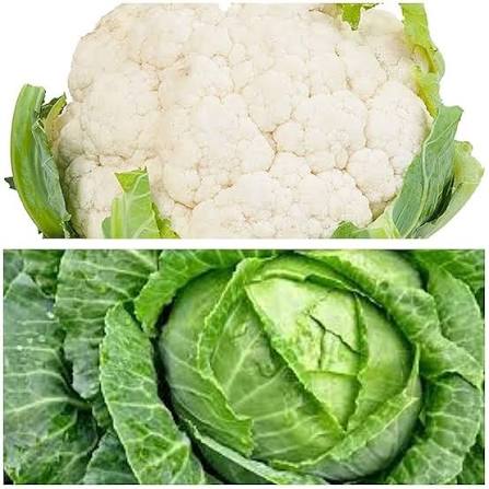 Tropical Cauliflower Seeds – Tropical Variety for Growing Fresh White Cauliflower