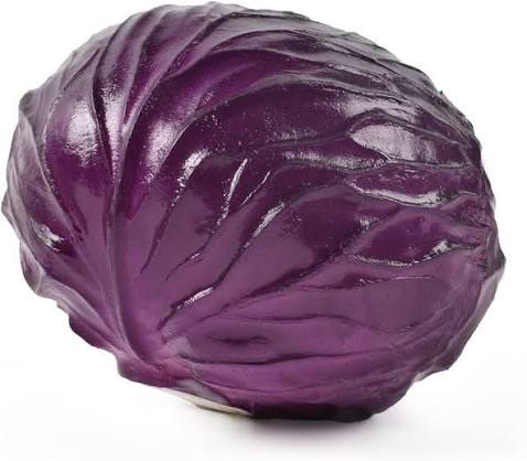 Tropical Round Purple Cabbage Seeds for Planting – Colorful Purple Cabbage