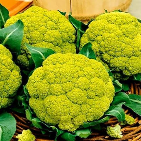 Green Verde Cauliflower Seeds garden vegetable variety for planting