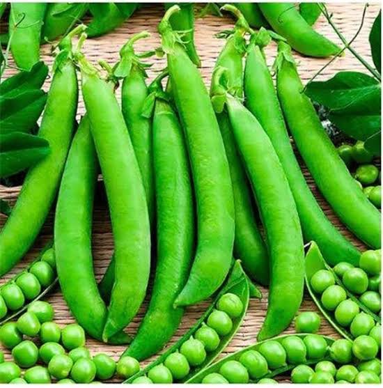 Winter Garden Pea Seeds cool-season vegetable variety for home planting