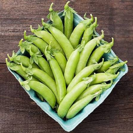 Winter Garden Pea Seeds cool-season vegetable variety for home planting